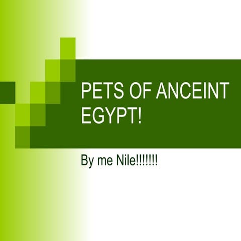 Pets of anceint egypt!