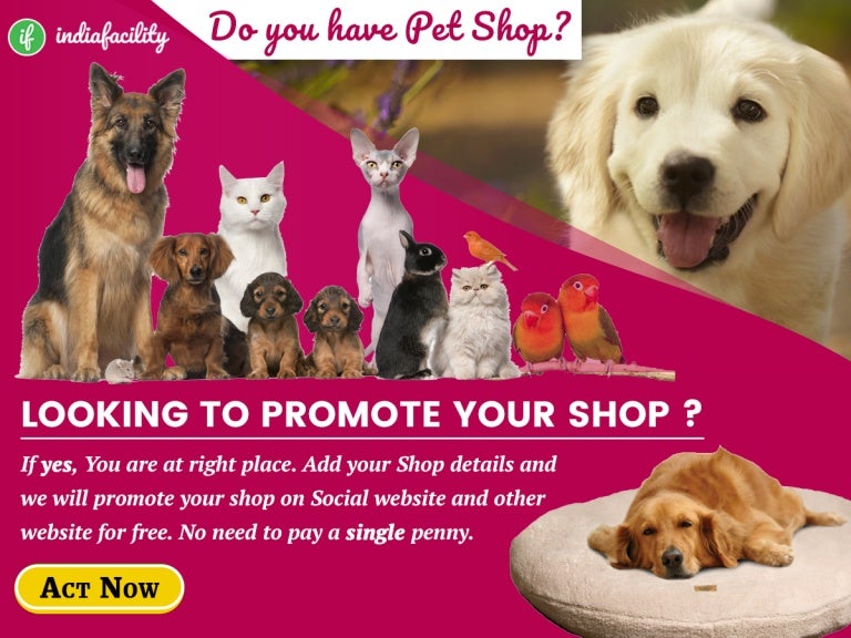 pet doctor shop near me