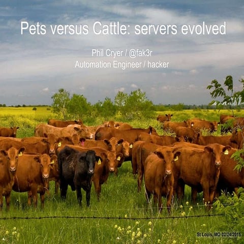 Pets versus Cattle: servers evolved