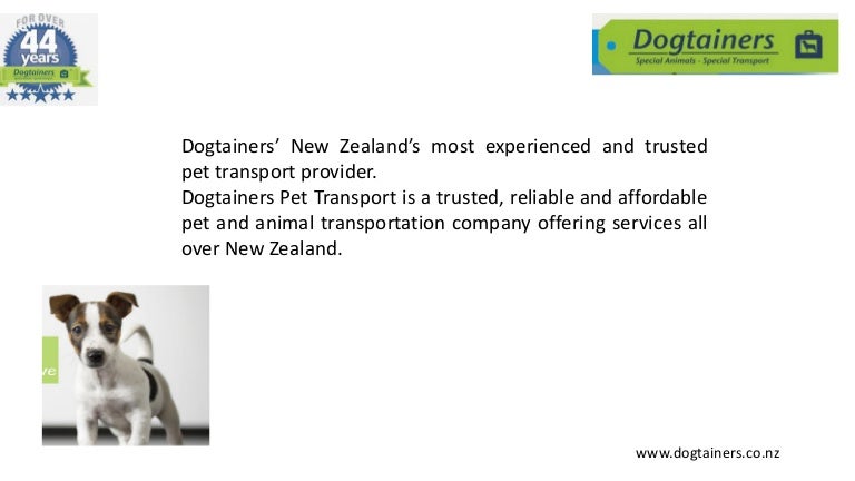 dogtainers pet transport