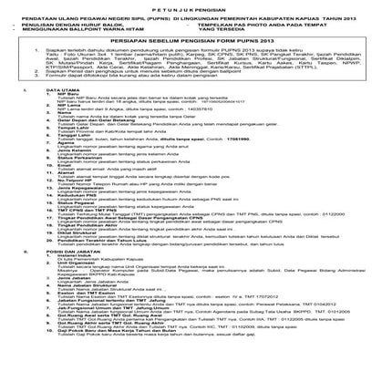 Petunjuk pupns 2013_