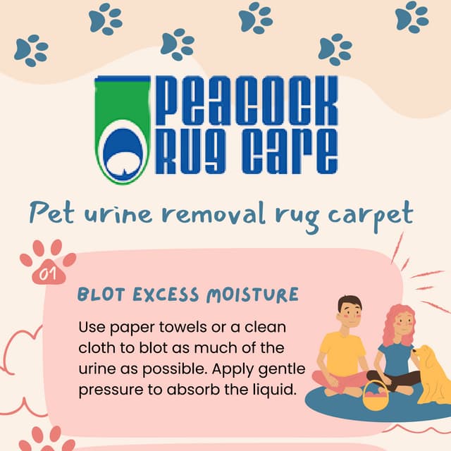 Pet urine removal rug carpet Removing pet urine from carpets Ottawa.pdf