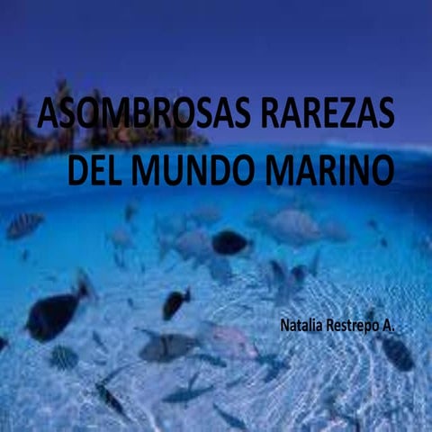 Pez cabeza transparente