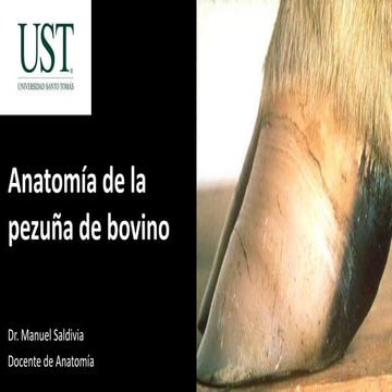 Comparitive Anatomy of Metatarsal bones in different animals.pptx