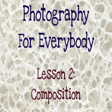 Photography For Everybody - Lesson 2: Composition