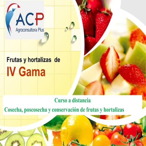 Frutas y Hortalizas de IV Gama