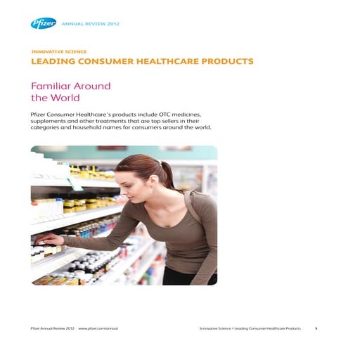 Top 100 Retail Brands | PDF