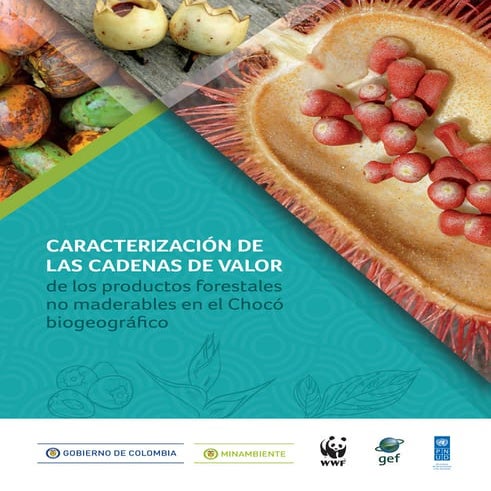 CARACTERIZACIÓN DE LAS CADENAS DE VALOR de los productos forestales no madera...