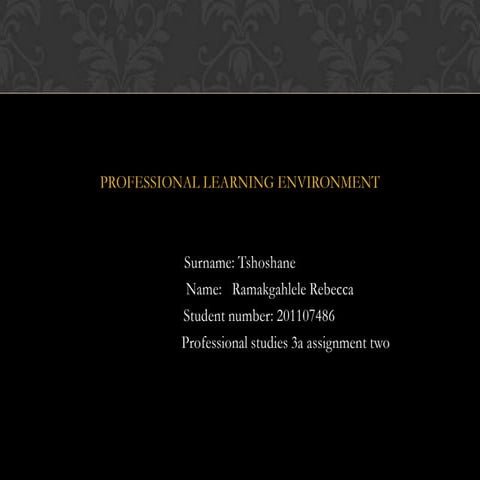 Pfs3 a assignment two