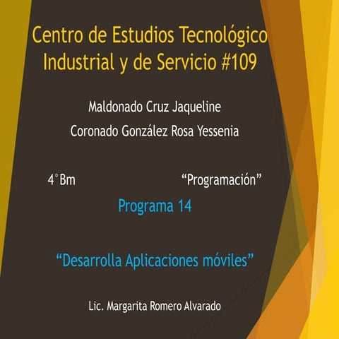 Explicacion del programa 14