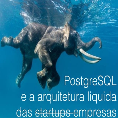 PostgreSQL e a arquitetura liquida das startups, digo, das empresas