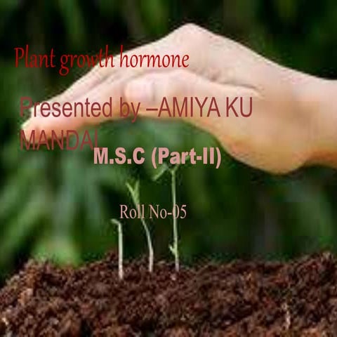 PLANT GROWTH HORMONE