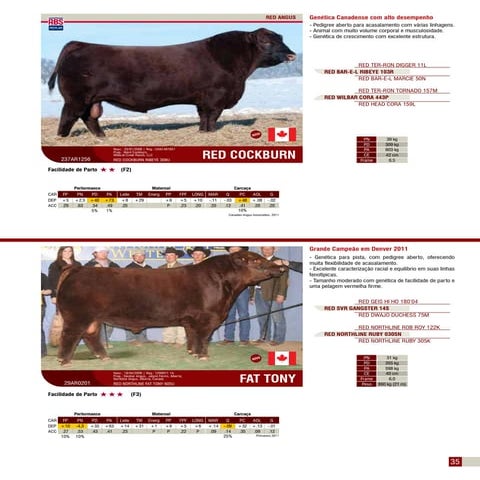 Página 35   fat tony e cockburn