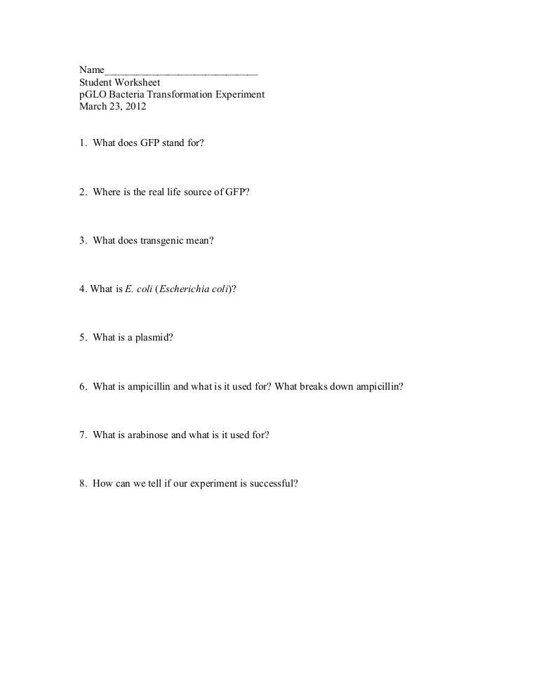 P glo worksheet