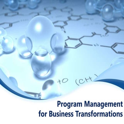 Program Management for Business Transformations