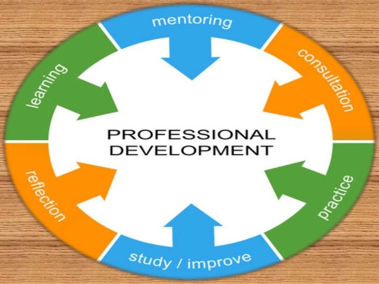 Professional Development Programme