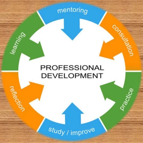 Professional Development Programme | PPTX