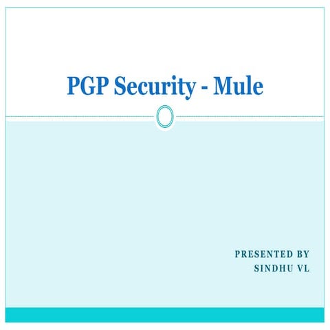 Pgp security   mule
