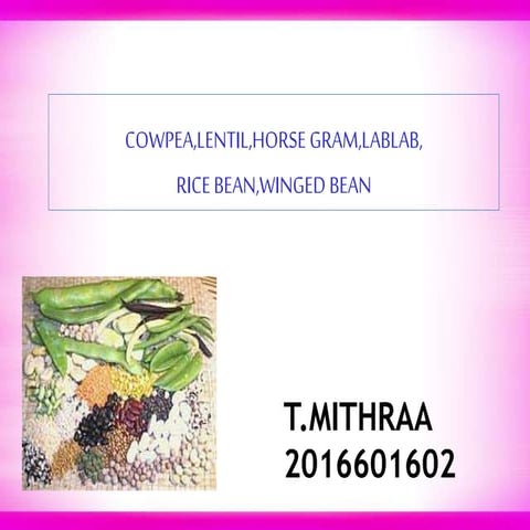 Mithraa Thirumalai presentations