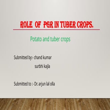 PGr in tuber crops(potatoes, cassava, yam) .pptx