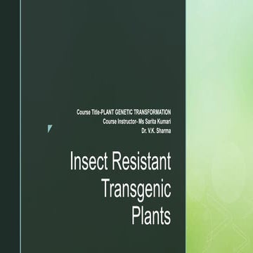 Insect Resistant Transgenic Plants