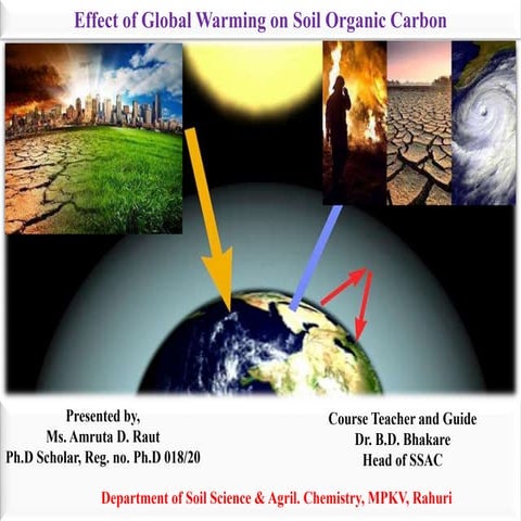 Effect of Global Warming on Soil Organic Carbon
