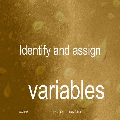 01 02 Identify & Use Variables