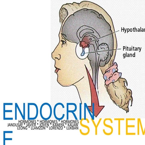 Ph 131 - Endocrine