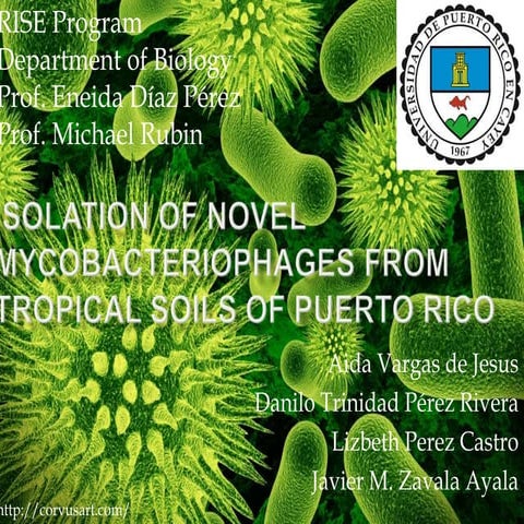 Phage presentation- The Isolation and Characterization of ...