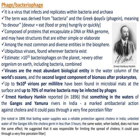 Phages.pptx