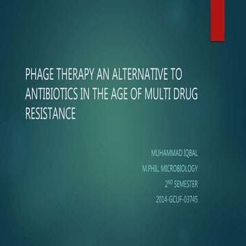 Phage therapy