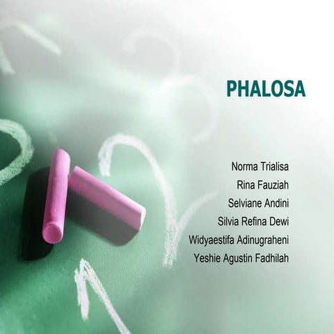 Phalosa