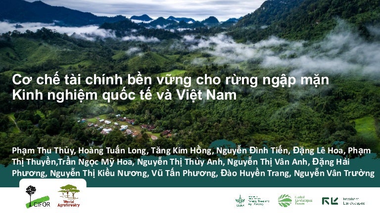 thumbnail of  Sustainable financial mechanism for mangroves: Global and Vietnamese experiences