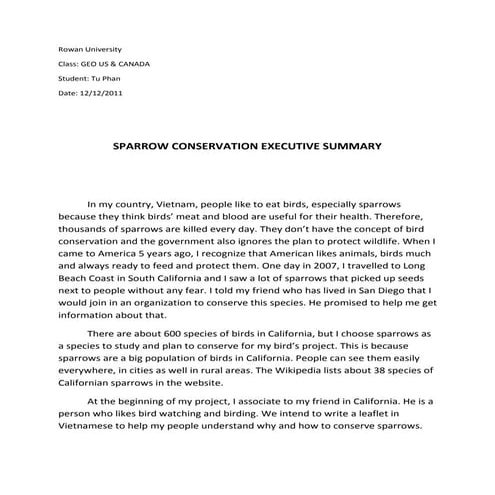 Phan Sparrow Project Report | PDF