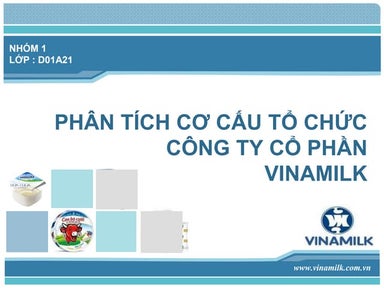 Phân tích cơ cấu của Vinamilk
