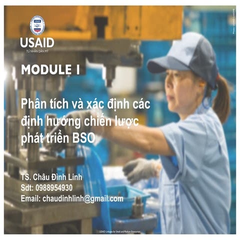 Phân tích và xác định các định hướng chiến lược cho BSO - TS Châu Đình Linh