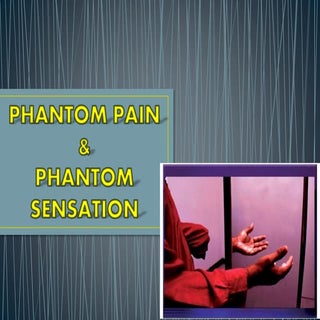 Phantom pain & sensation 1