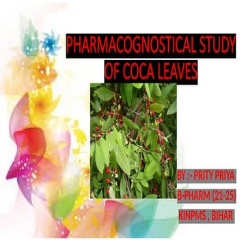 PHARMACOGNOSTICAL STUDY OF COCA LEAVES.pptx