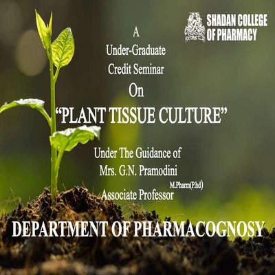 Plant Tissue Culture Complete Presentation