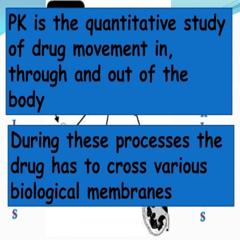 Pharmacokinetics 1 Pptx