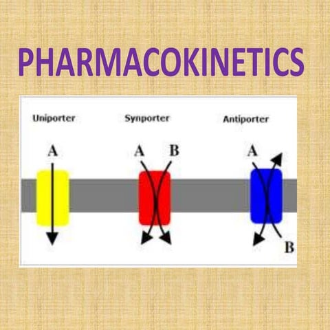 Pharmacokinetics lecture  i