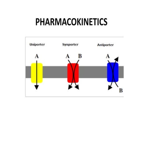 Pharmacokinetics Lecture_Study Material.pdf