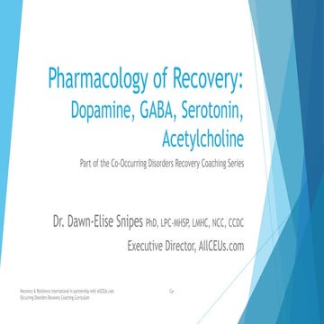 Pharmacology of Recovery: Dopamine, Gaba, Serotonin and Acetylcholine