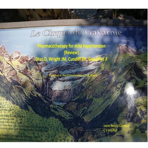 Pharmacotherapy for mild hypertension (review)c