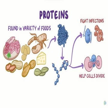 Pharm D metabolism of  Proteins introduction [Autosaved].pptx