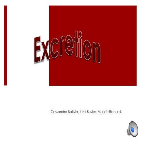 Pharm Presentation: Excretion