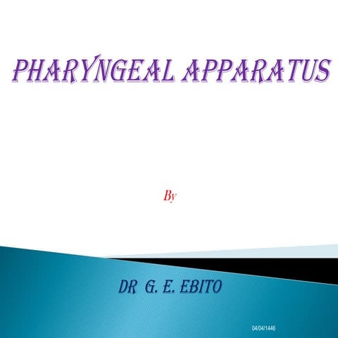 PHARYNGEAL APPARATUS and the development of the pituitary gland