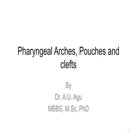 Development of Pharyngeal arches and derivatives.pptx