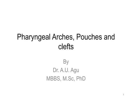 Pharyngeal arches & pouches | PPTX | Ear, Nose and Throat Conditions ...