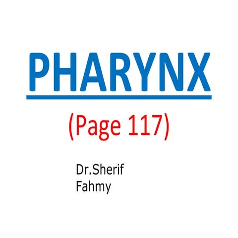 The Pharynx (Anatomy of the Neck)